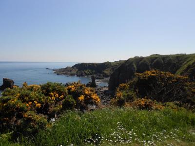 The Old Man of Muchalls